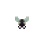 Fly